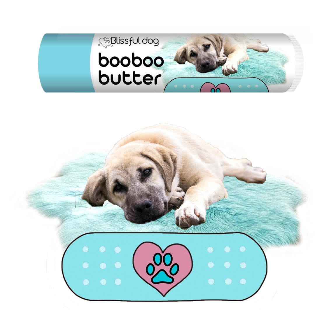 Anatolian Shepherd itchy skin