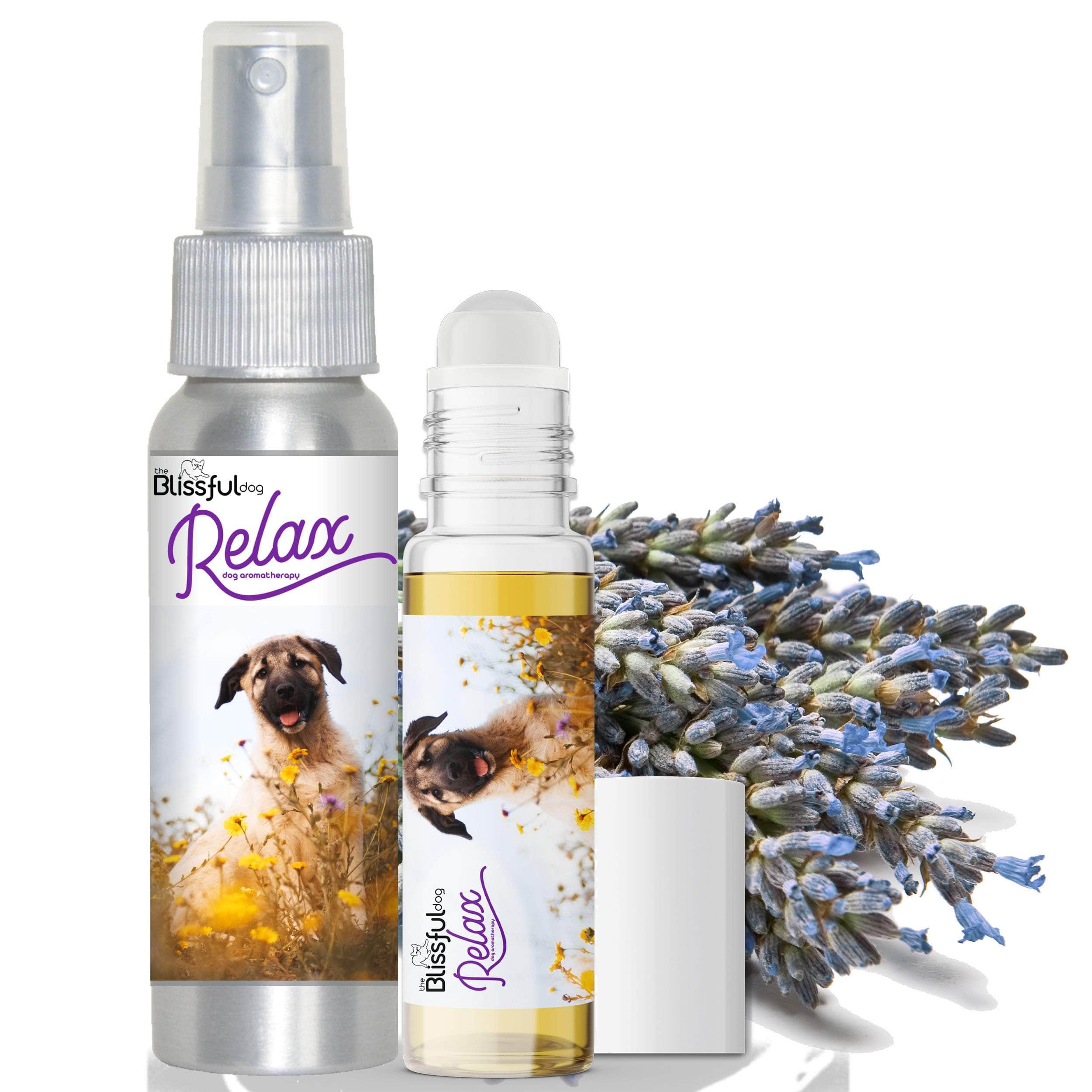 Relax Dog Aromatherapy for Anatolian Shepherd Calming and Anxiety