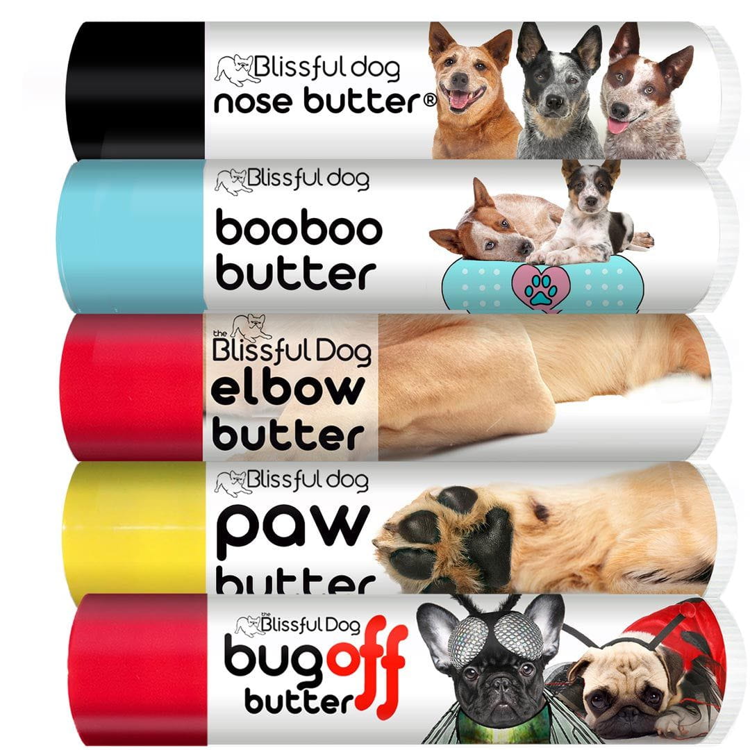 australian cattle dog skin care