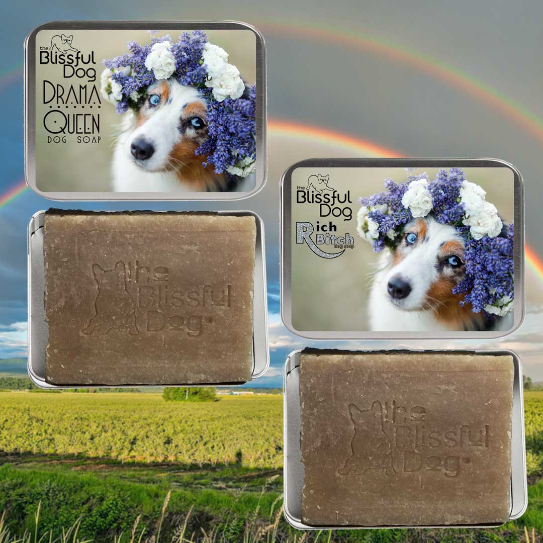 australian shepherd dog soap