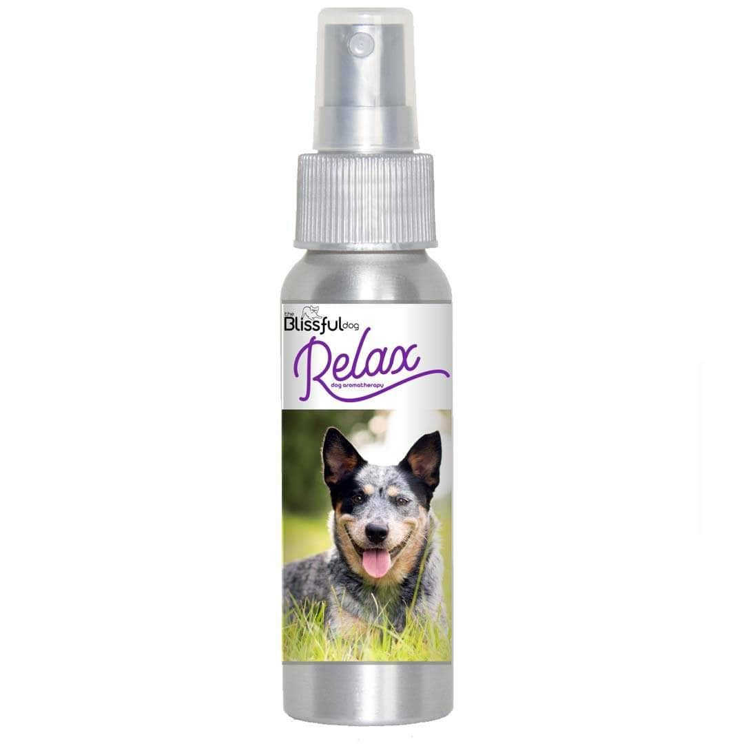 Thunder spray for dogs top