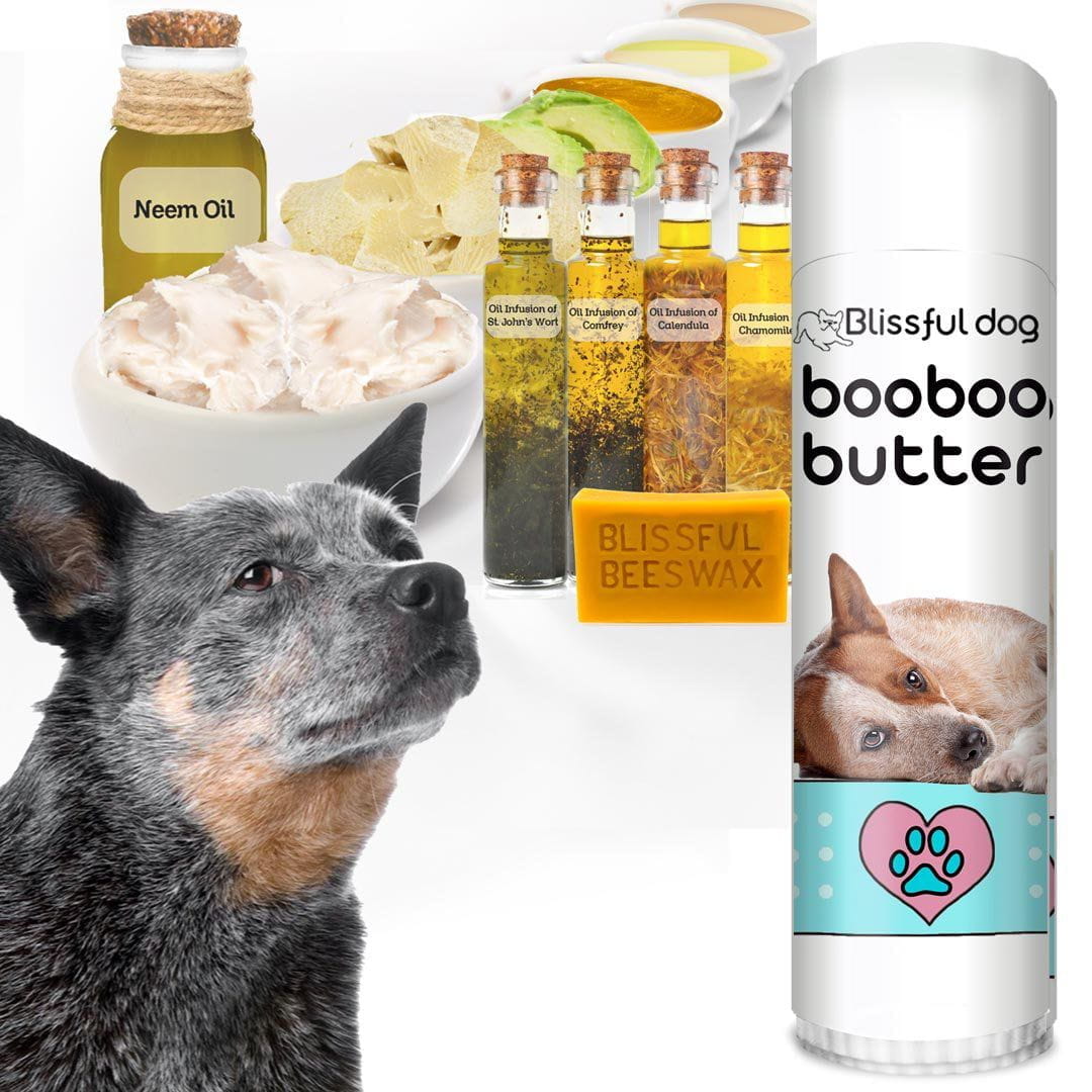 Best shampoo for australian cattle dog hot sale