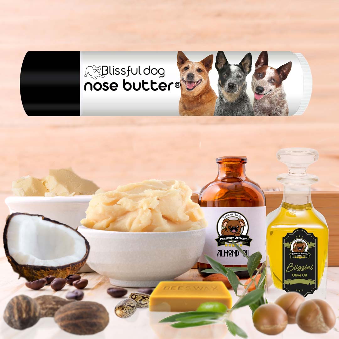 australian cattle dog grooming