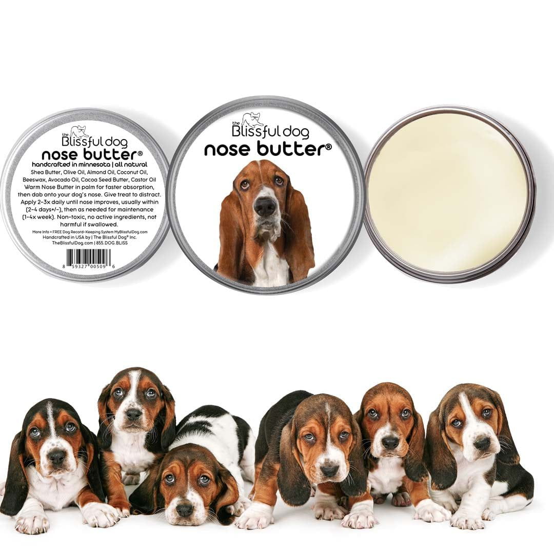 Basset hound hot sale grooming