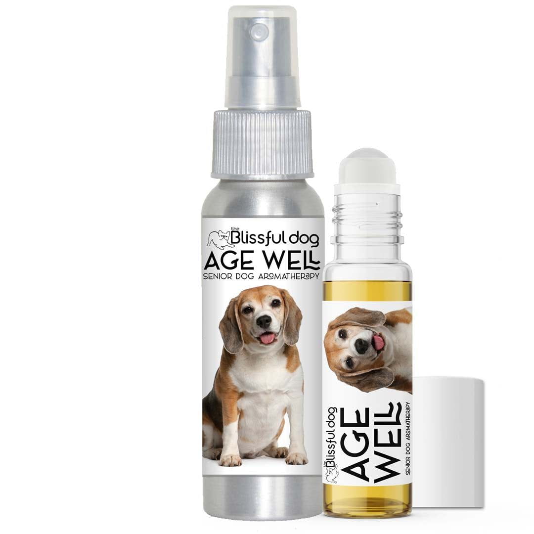 beagle senior support