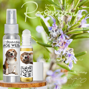 beagle dog senior aromatherapy
