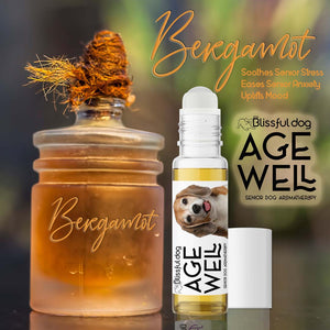 aromatherapy for senior beagle