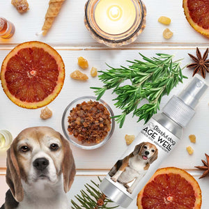beagle essential oils