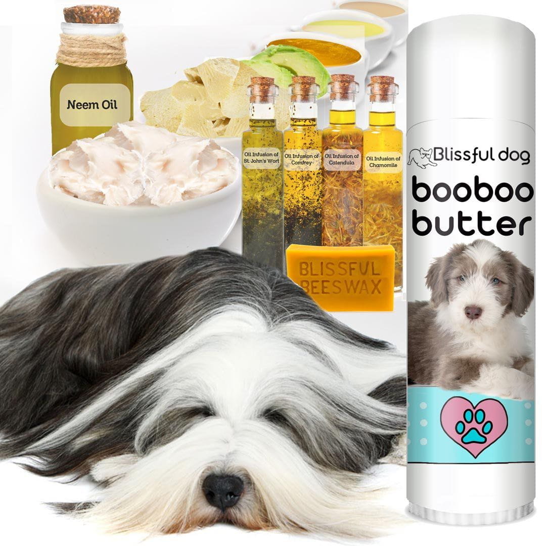St john's sales wort for dogs