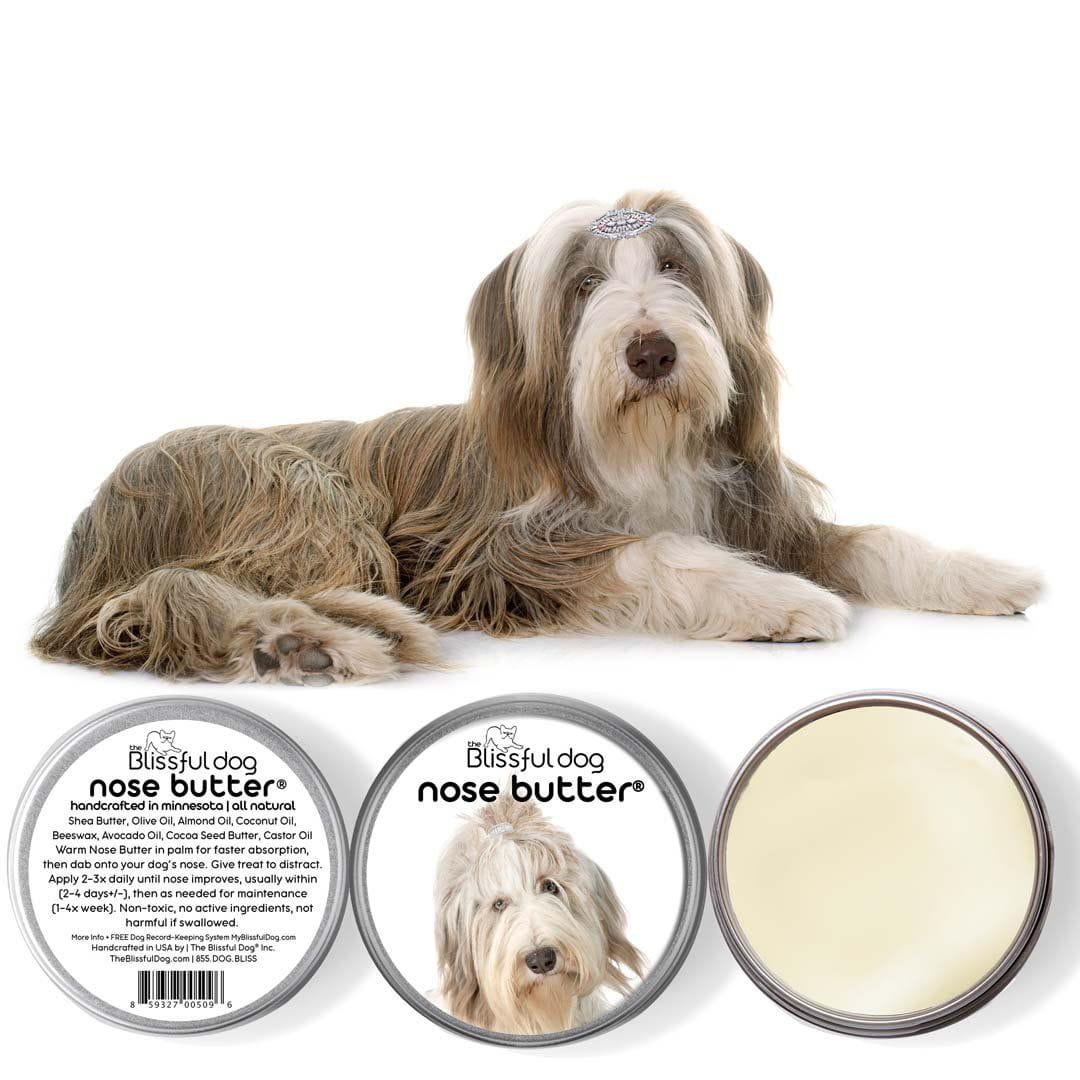 Bearded Collie dry nose