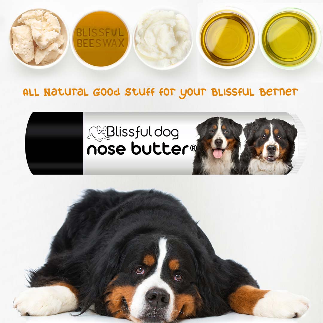 Bernese Mountain Dog Doggie Puppy Present Gift' Sticker