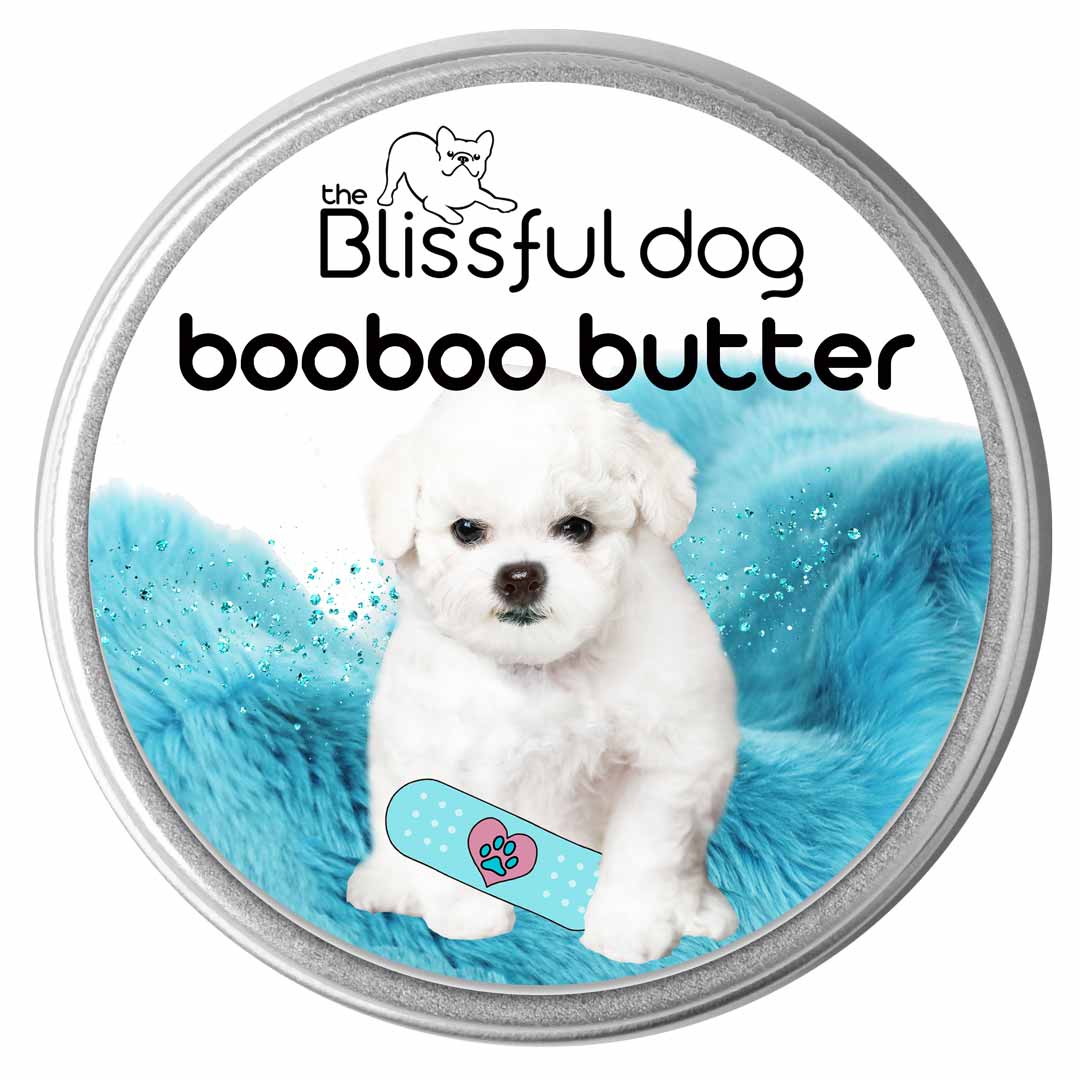 Bichon frise cheap itching cures