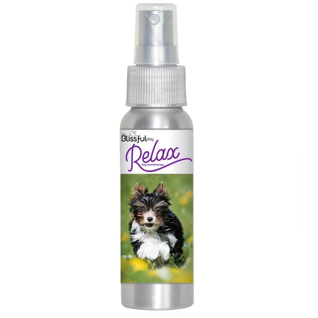 Biewer Terrier calming spray