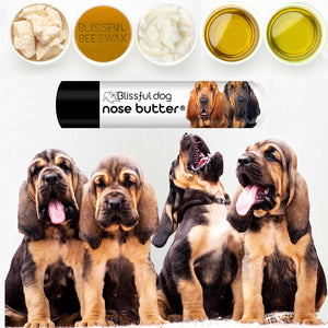 help for bloodhound dry nose