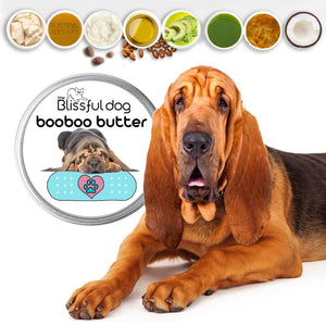 bloodhound rash