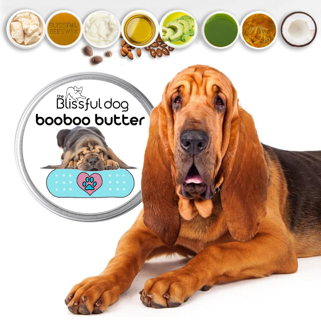 The Blissful Dog Bloodhound Combo For Bloodhound Care Head to Tail