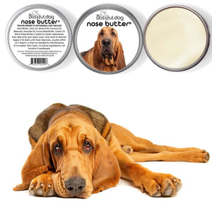 bloodhound dry nose