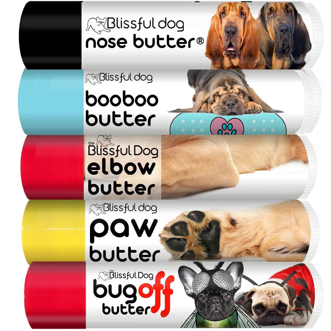 bloodhound skin care