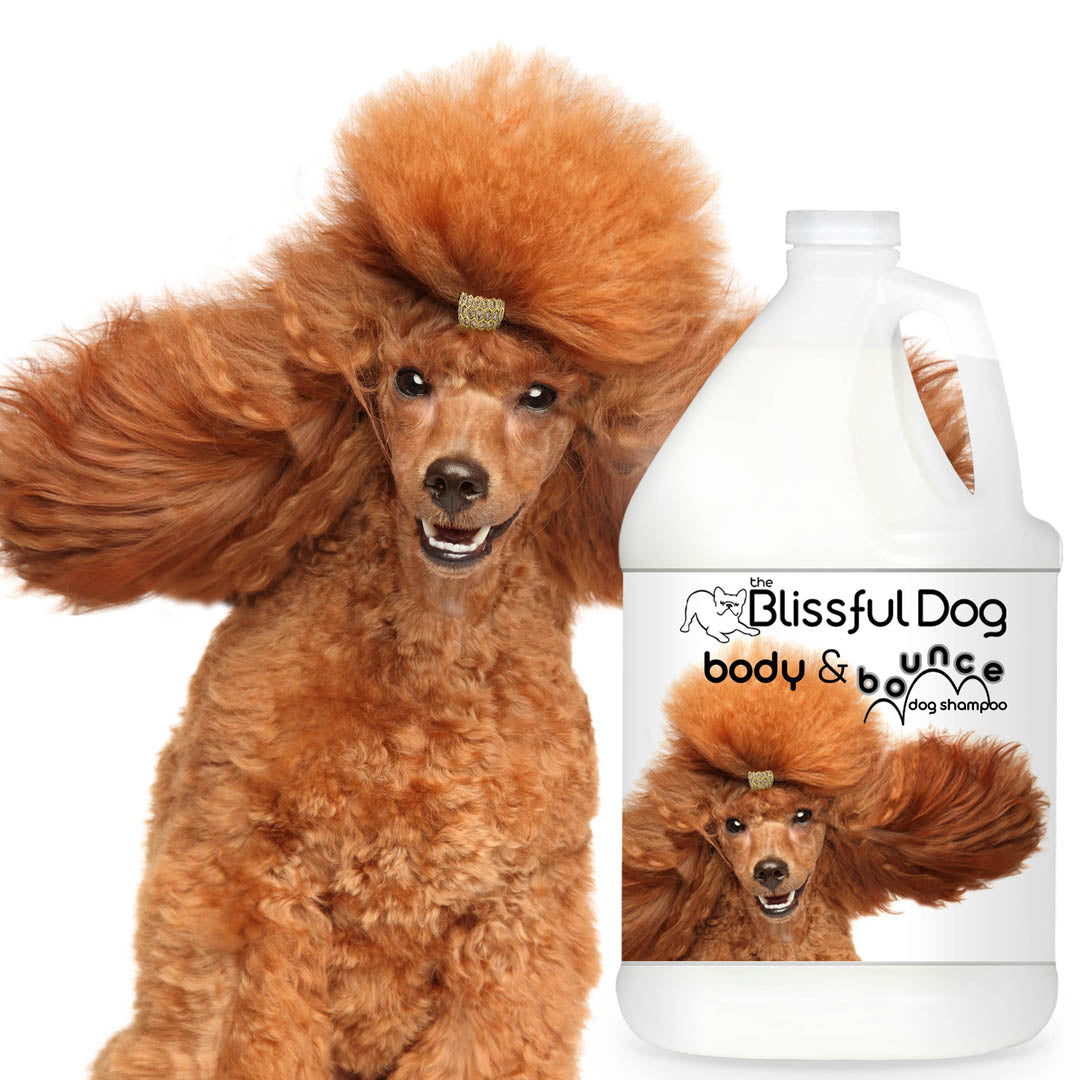 Best dog shampoo for poodles sale