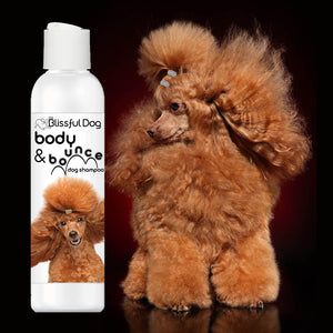 dog shampoo for poodles