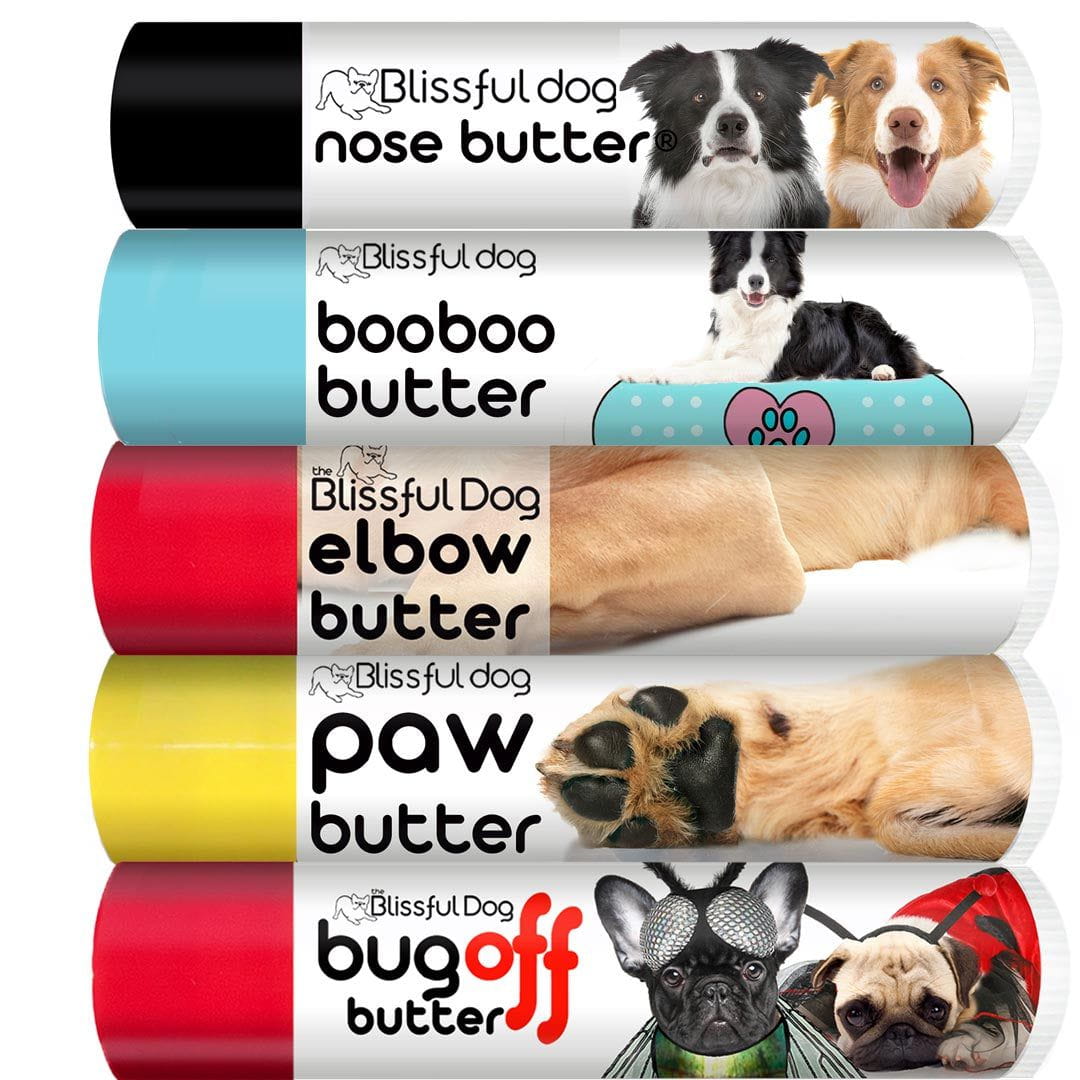 border collie skin care