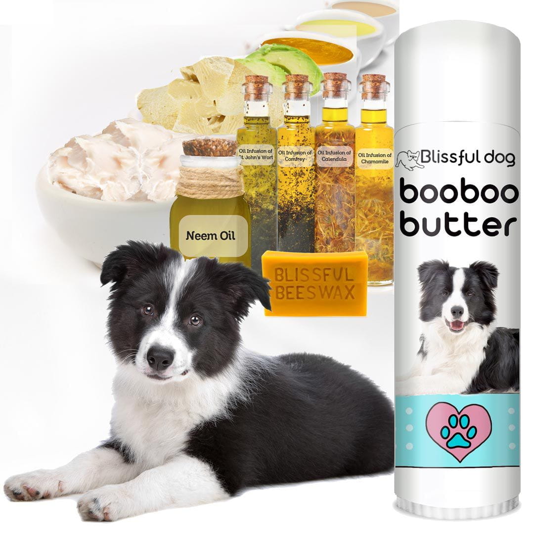 Border Collie Herbal Boo Boo Butter for Dog s Minor Skin Irritations