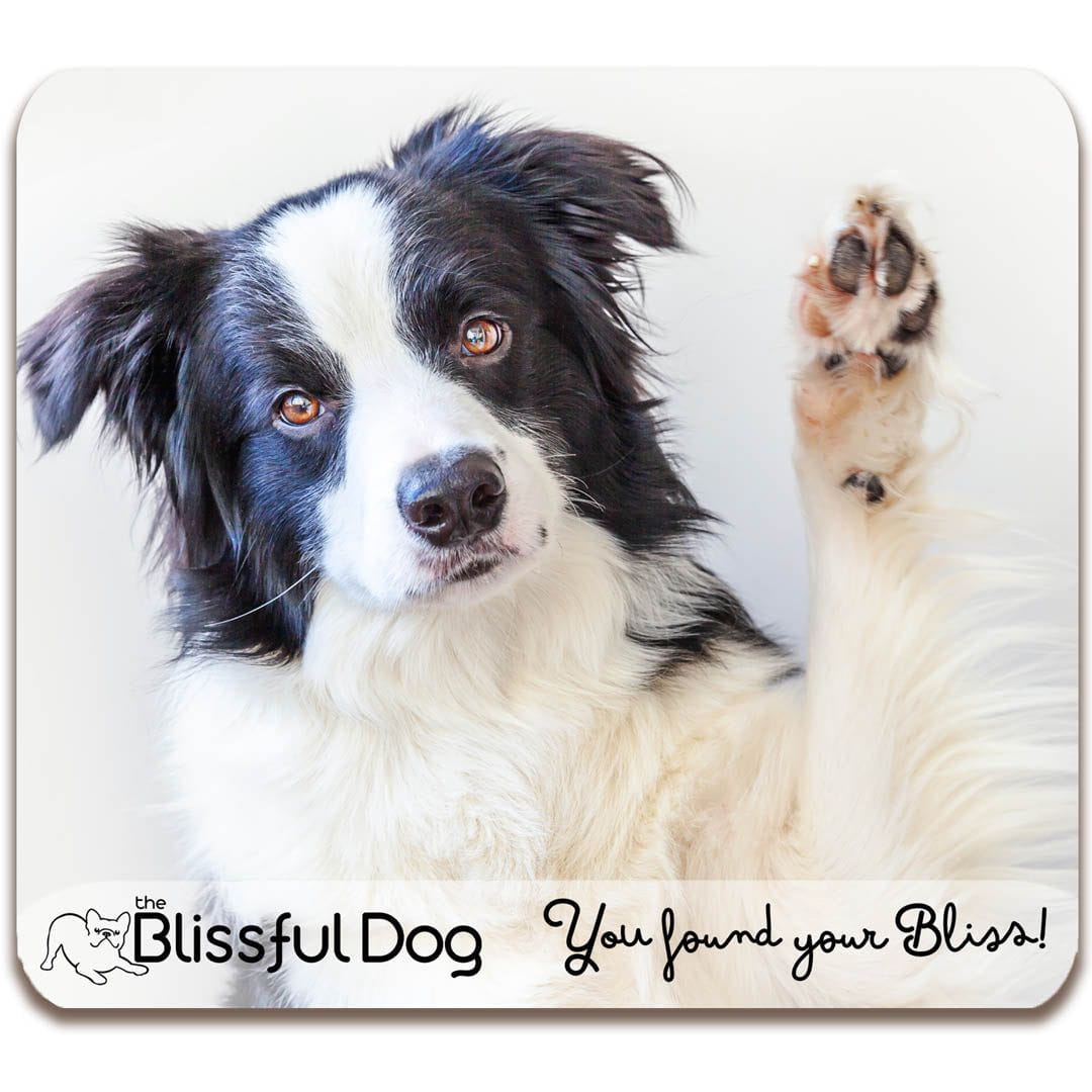 Blissful dog gift card logo
