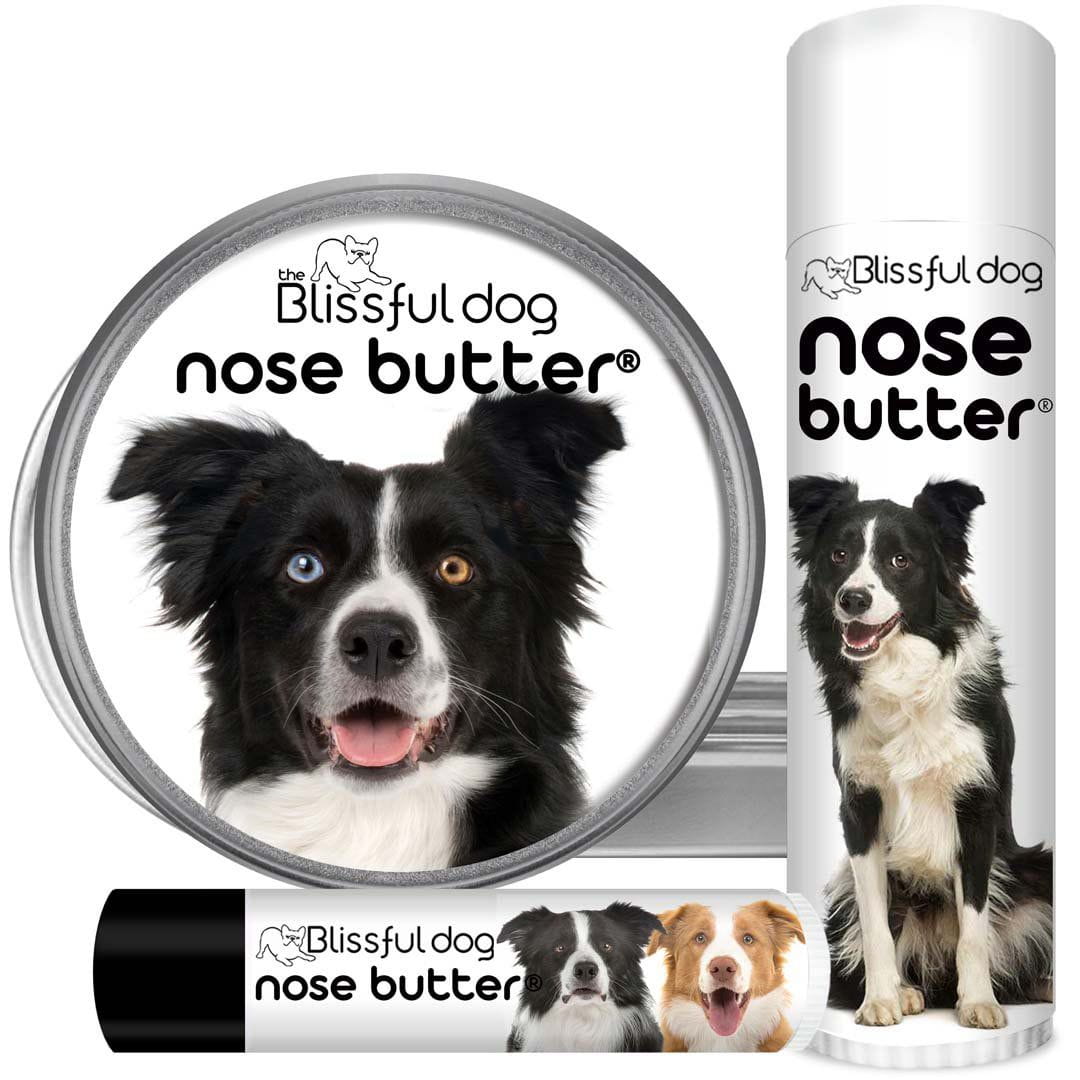 https://theblissfuldog.com/cdn/shop/products/BORDER_COLLIE_NOSE_ALL_2500_1200x.jpg?v=1631626715