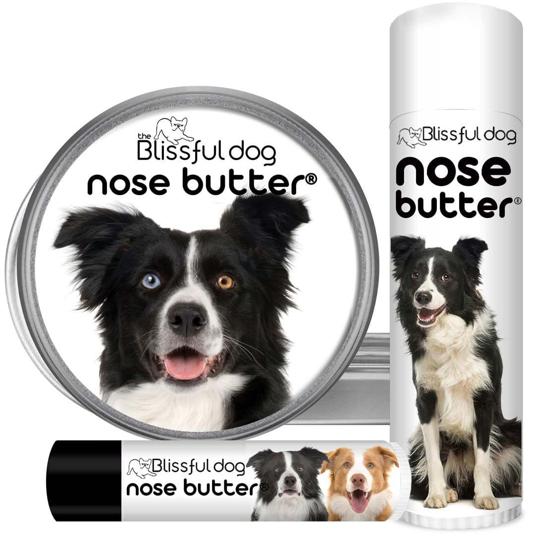 border collie nose butter