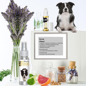 Border collie aromatherapy ingredients