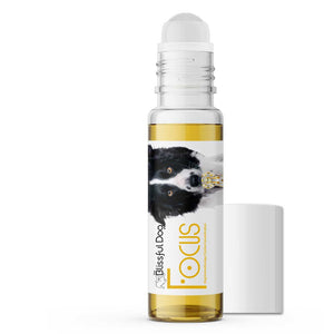 Border Collie Focus Dog Aromatherapy Roll-on