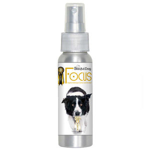 Border Collie Focus Dog Aromatherapy spray