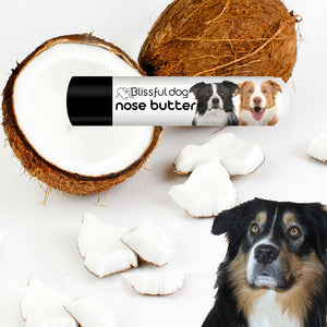 help for border collie dry nose
