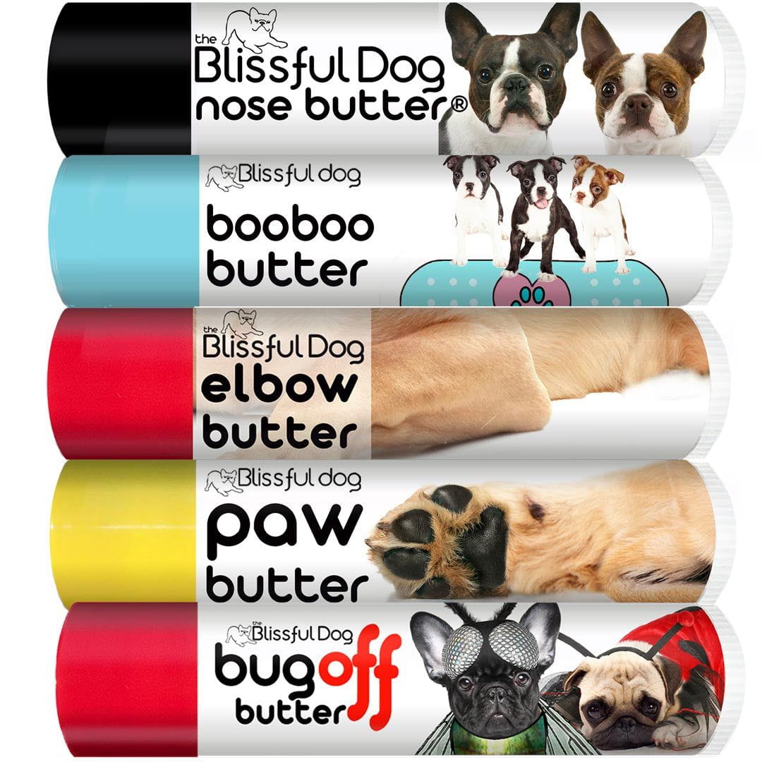 Boston Terrier Care Kit Keeps Your Boston Looking Feeling Great