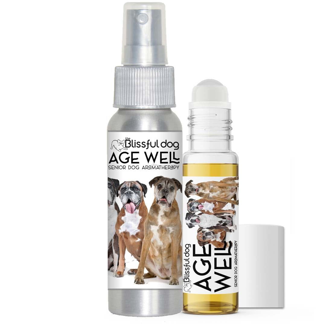 boxer dog aging aromatherapy
