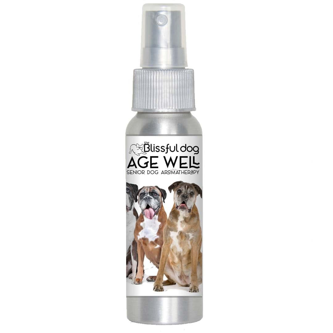 boxer dog aging aromatherapy