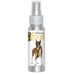 boxer focus spray