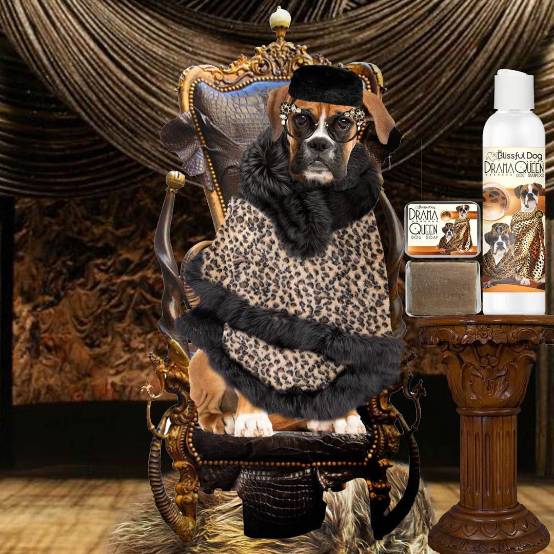 Drama Queen Rich Bitch Boxer Shampoo Soap Your Dog s Opulent Bath