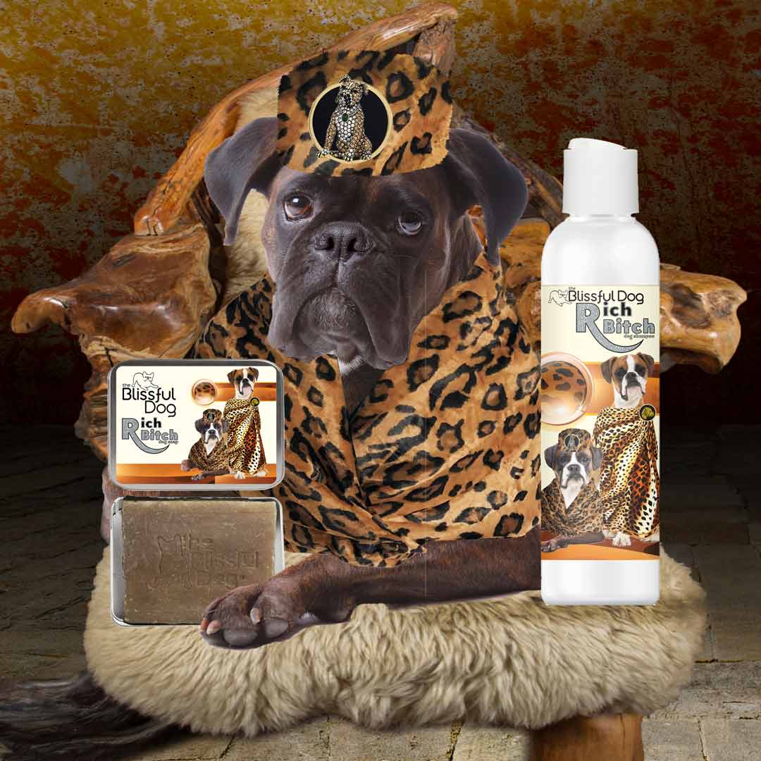 Best dog new arrivals shampoo for boxers