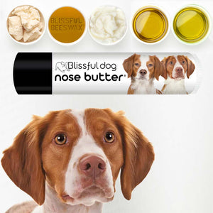 Brittany dog has chapped nose