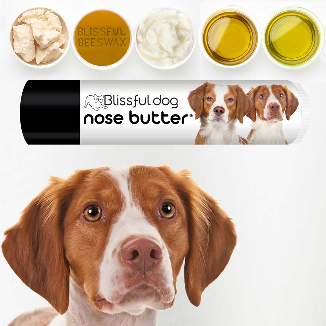 Best brush for outlet brittany spaniel