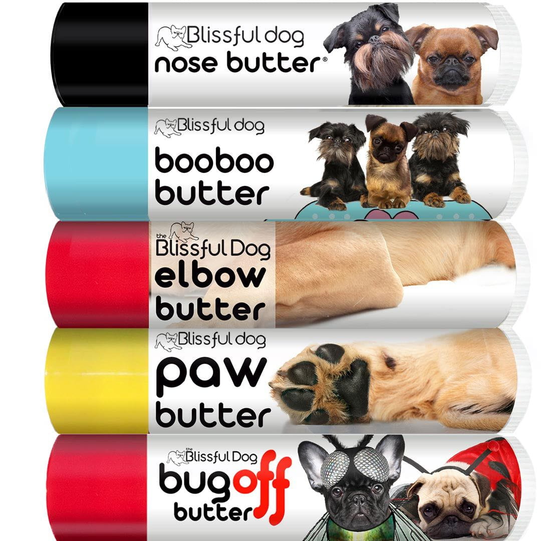 brussels griffon care