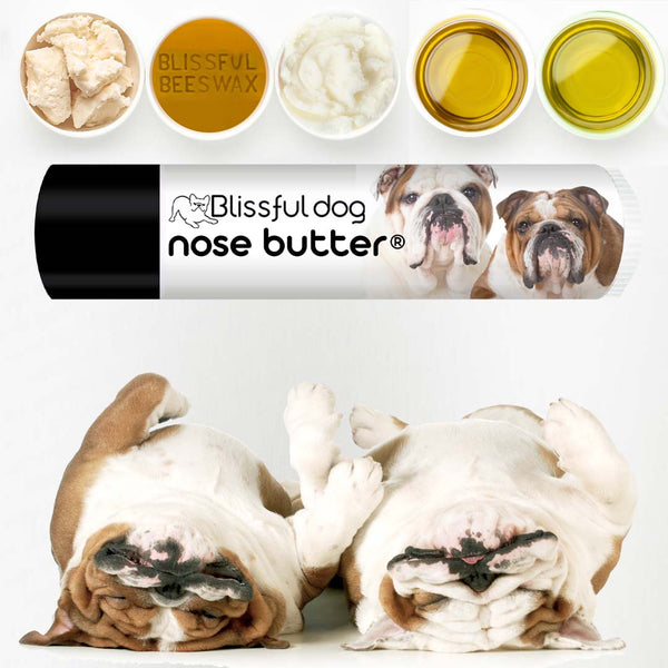 Dog bulldog nose butter sale