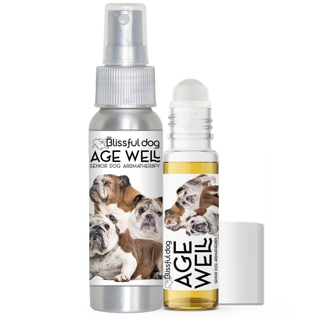 bulldog cognitive issues