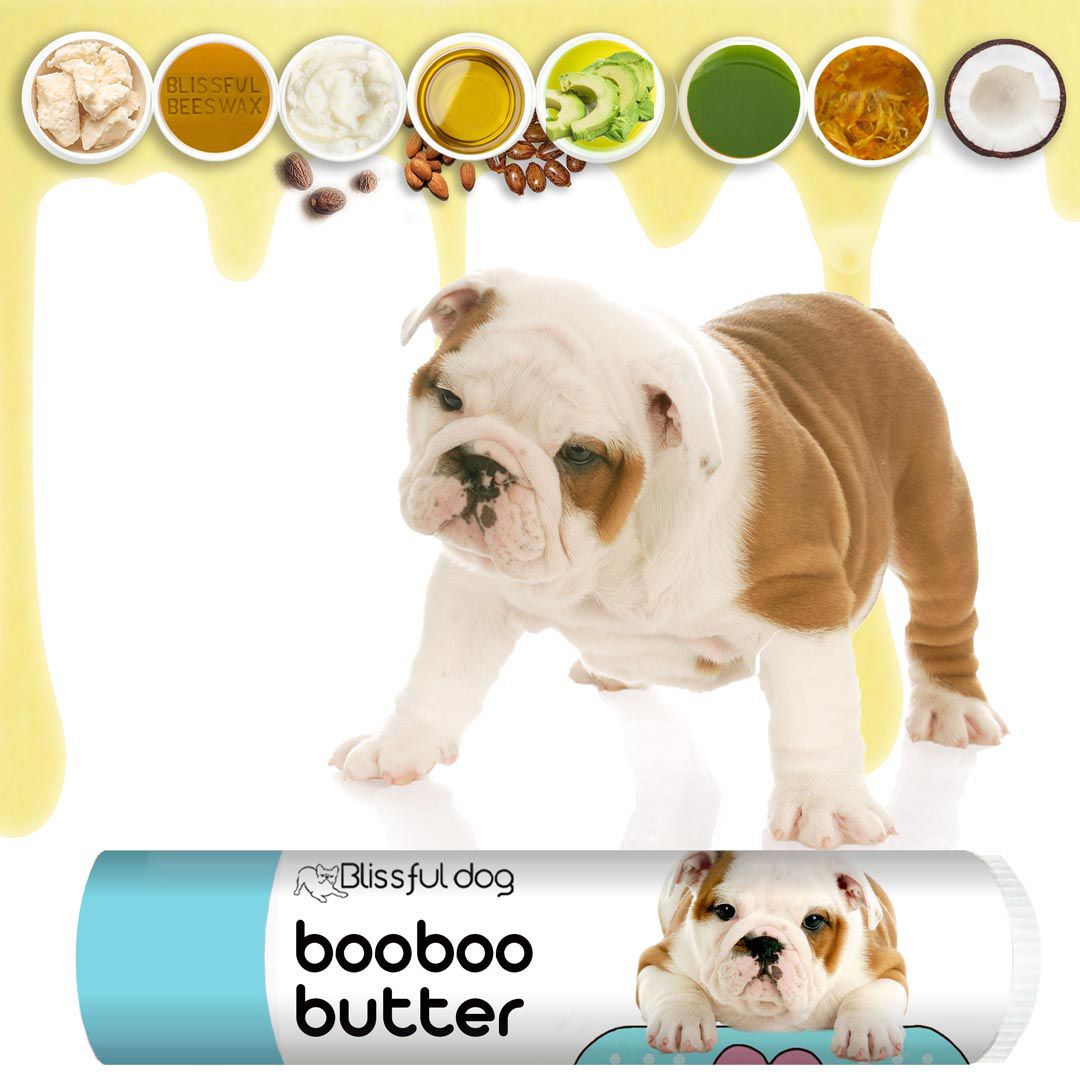 bulldog dry nose moisturizer