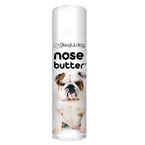 Bulldog has a crusty Nose 