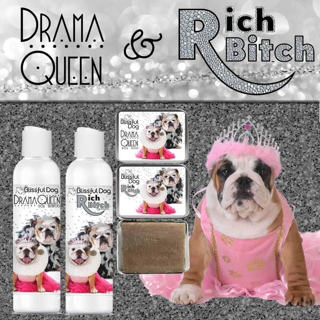 bulldog drama queen dog soap