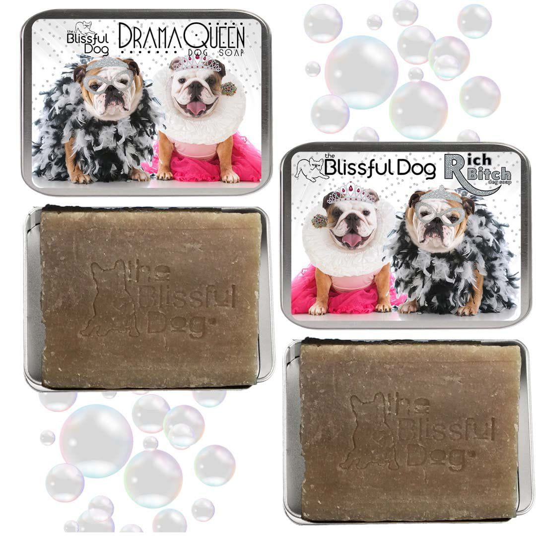 bulldog rich bitch soap