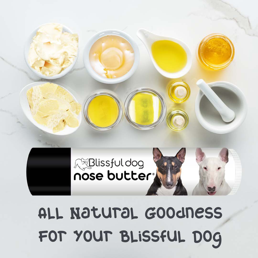 bull terrier nose care