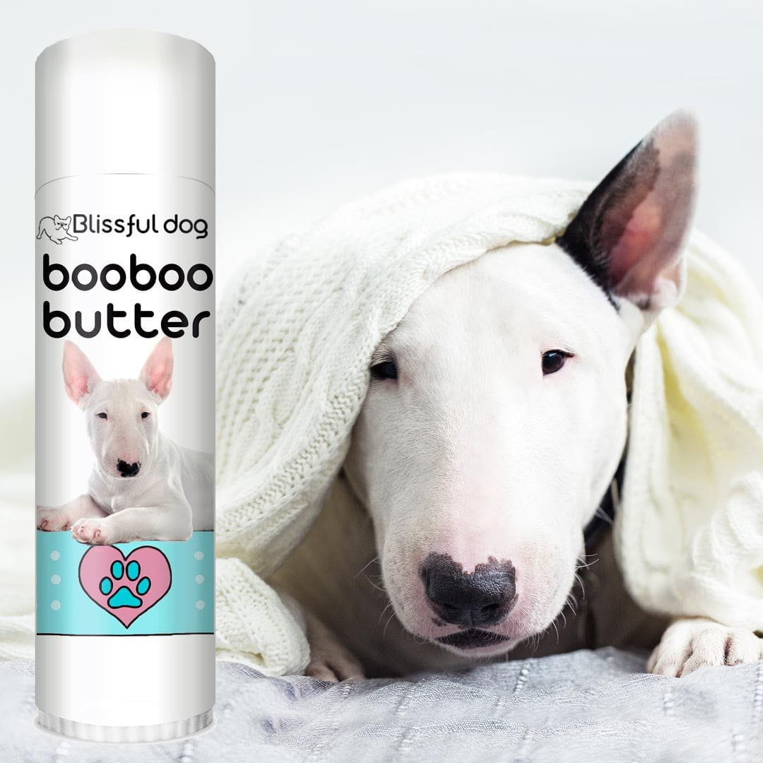 Terriers and shop allergies